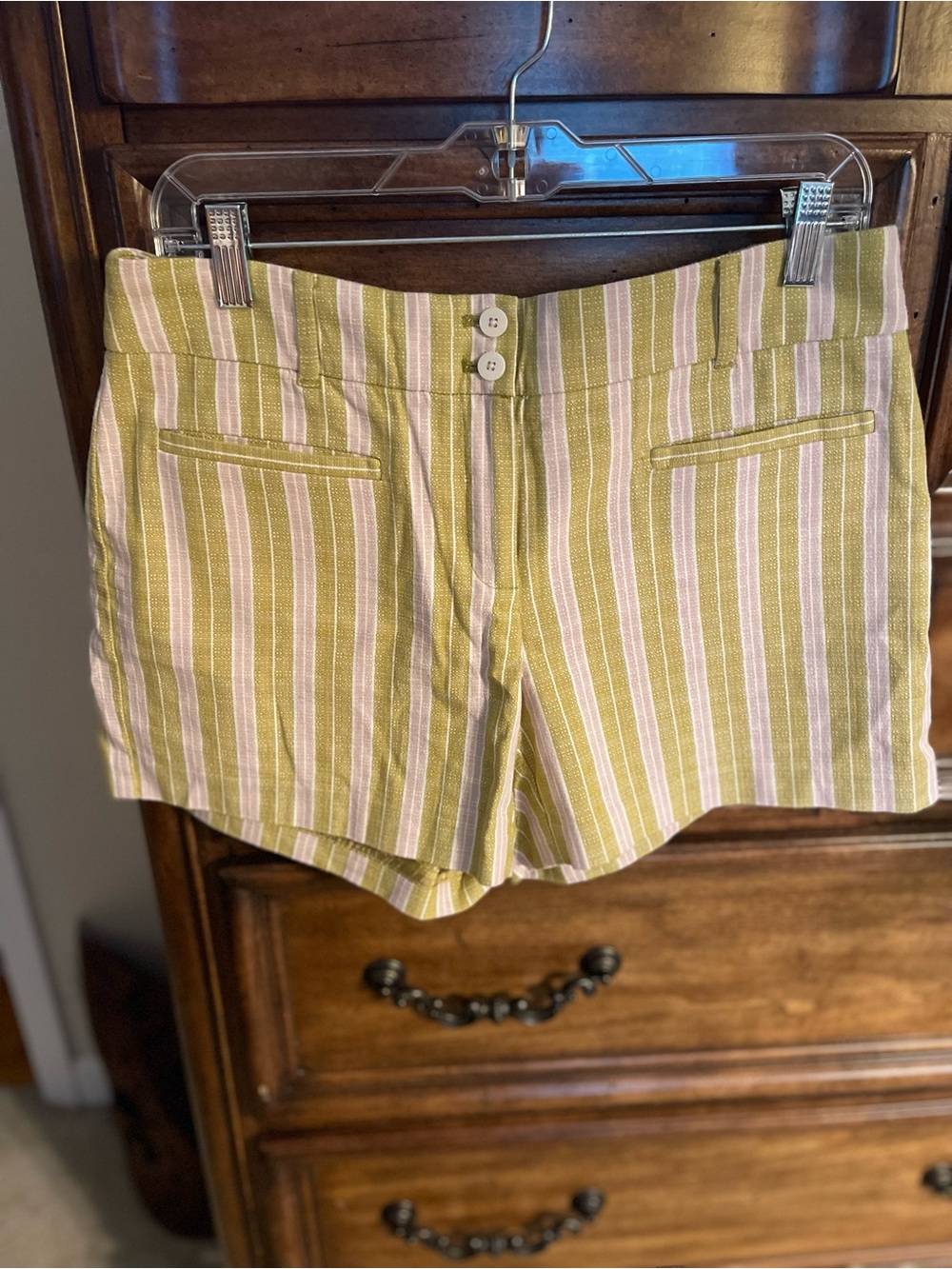 Cartonnier Striped High-Waist Shorts in Green and Cream